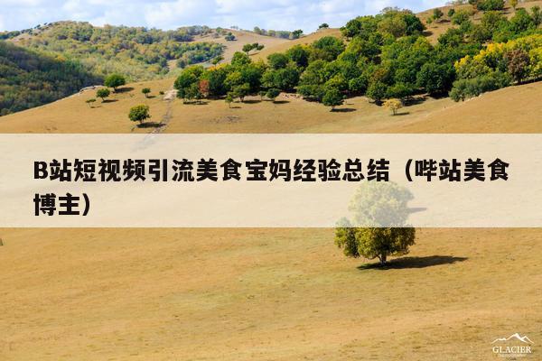 B站短视频引流美食宝妈经验总结(哔站美食博主)