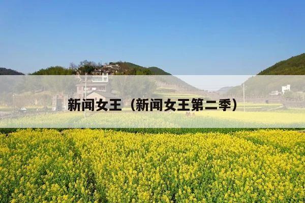 新闻女王(新闻女王第二季)