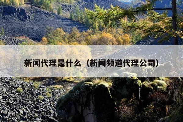 新闻代理是什么(新闻频道代理公司)