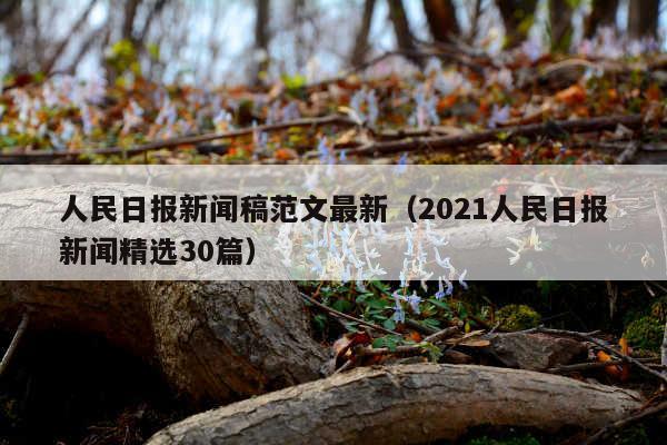 人民日报新闻稿范文最新(2021人民日报新闻精选30篇)