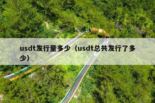 usdt发行量多少(usdt总共发行了多少)