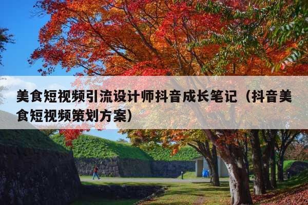美食短视频引流设计师抖音成长笔记(抖音美食短视频策划方案)