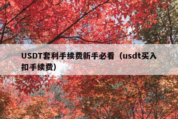 USDT套利手续费新手必看(usdt买入扣手续费)