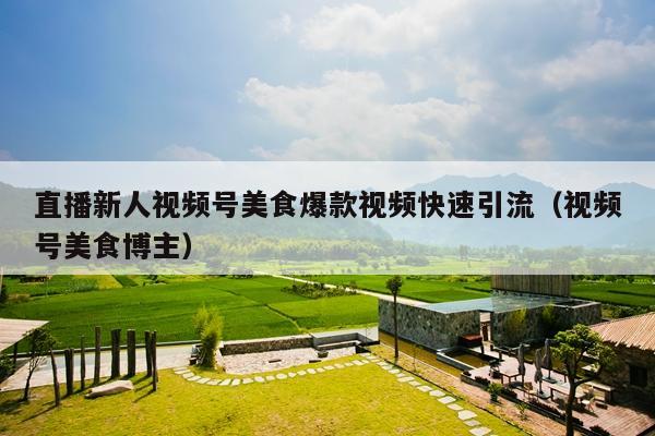 直播新人视频号美食爆款视频快速引流(视频号美食博主)