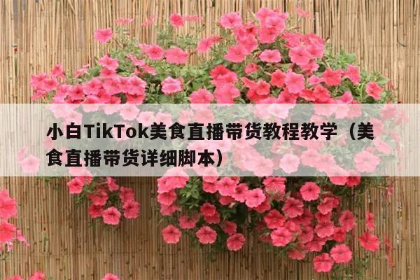 小白TikTok美食直播带货教程教学(美食直播带货详细脚本)