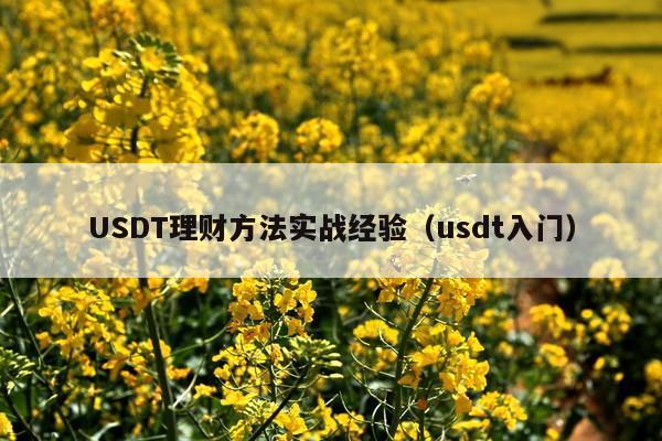 USDT理财方法实战经验(usdt入门)