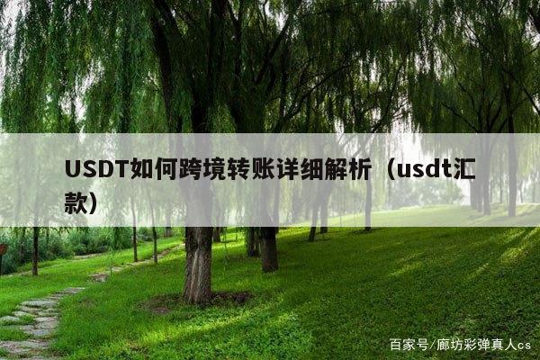 USDT如何跨境转账详细解析(usdt汇款)
