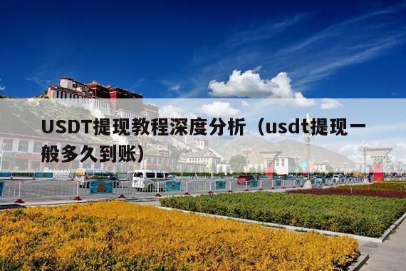 USDT提现教程深度分析(usdt提现一般多久到账)