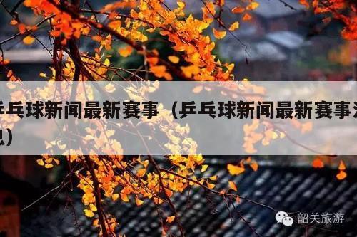 乒乓球新闻最新赛事(乒乓球新闻最新赛事消息)