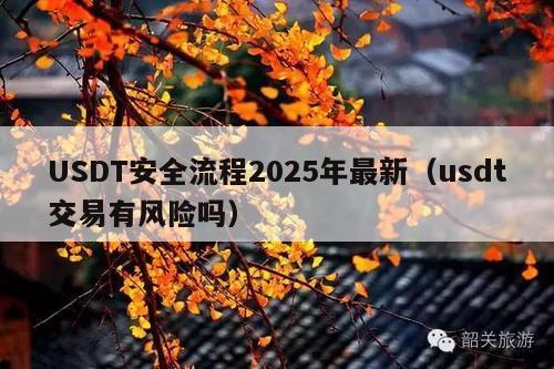 USDT安全流程2025年最新(usdt交易有风险吗)