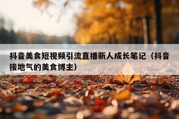 抖音美食短视频引流直播新人成长笔记(抖音接地气的美食博主)