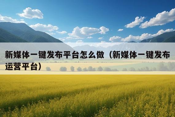 新媒体一键发布平台怎么做(新媒体一键发布运营平台)