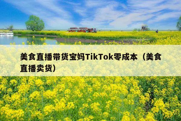 美食直播带货宝妈TikTok零成本(美食直播卖货)
