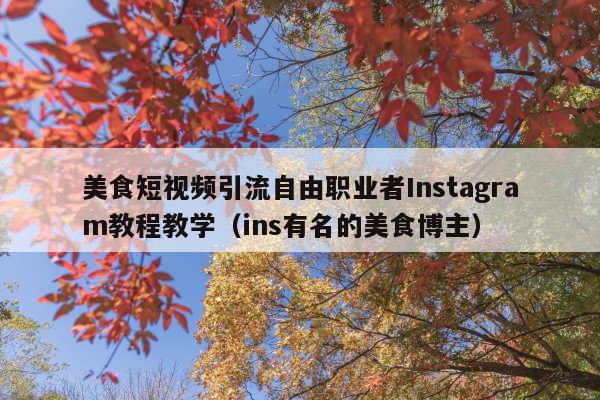美食短视频引流自由职业者Instagram教程教学(ins有名的美食博主)