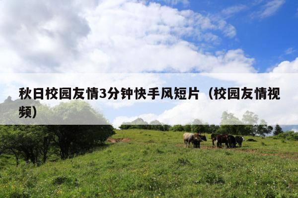 秋日校园友情3分钟快手风短片(校园友情视频)