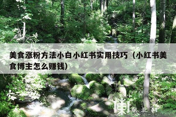美食涨粉方法小白小红书实用技巧(小红书美食博主怎么赚钱)