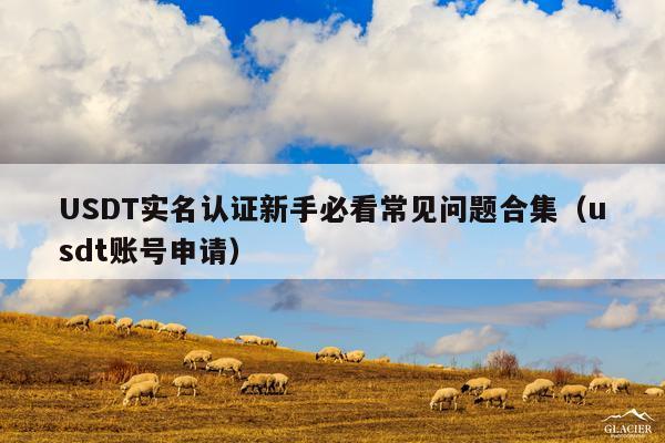 USDT实名认证新手必看常见问题合集(usdt账号申请)