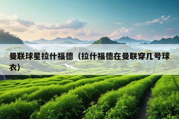 曼联球星拉什福德(拉什福德在曼联穿几号球衣)