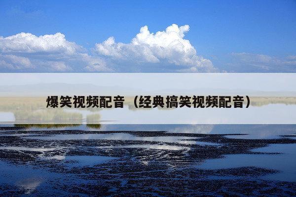 爆笑视频配音(经典搞笑视频配音)