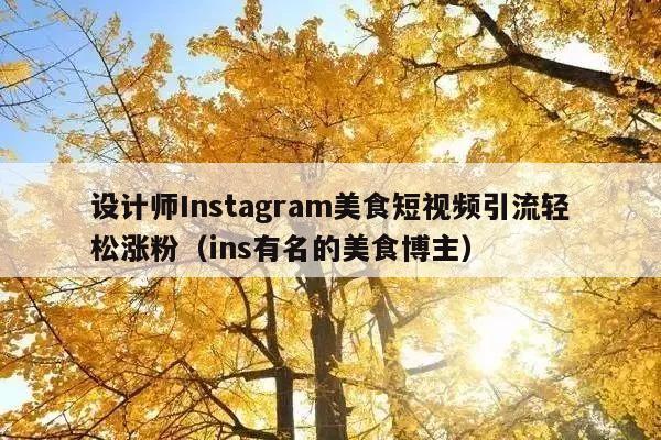 设计师Instagram美食短视频引流轻松涨粉(ins有名的美食博主)