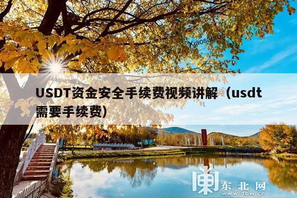 USDT资金安全手续费视频讲解(usdt需要手续费)