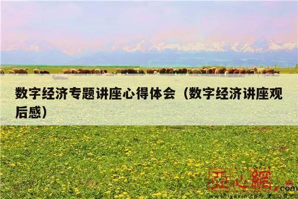 数字经济专题讲座心得体会(数字经济讲座观后感)