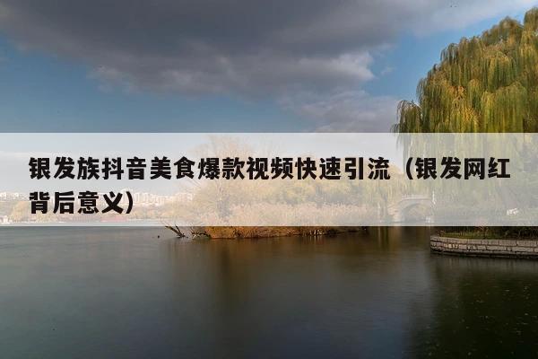银发族抖音美食爆款视频快速引流(银发网红背后意义)