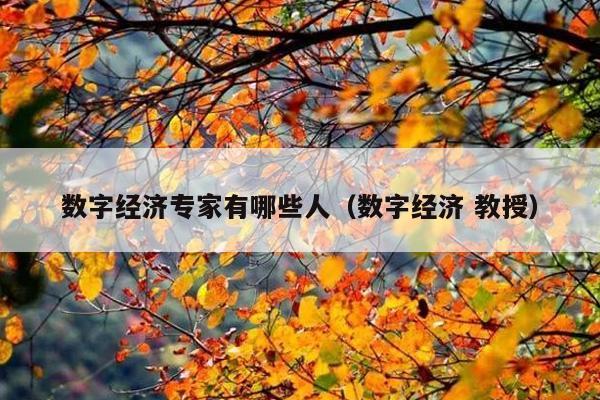 数字经济专家有哪些人(数字经济 教授)