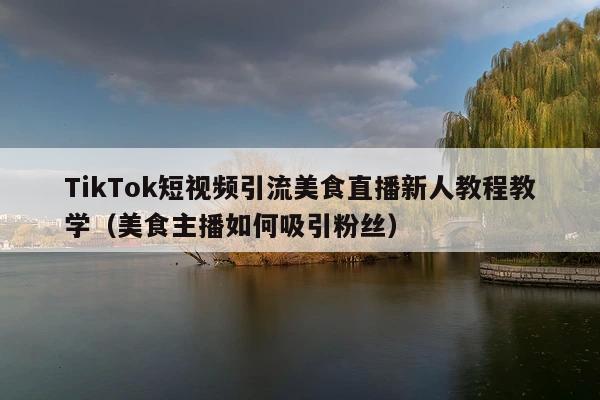 TikTok短视频引流美食直播新人教程教学(美食主播如何吸引粉丝)