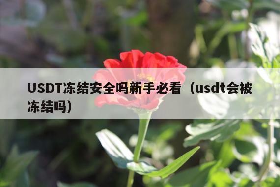 USDT冻结安全吗新手必看(usdt会被冻结吗)