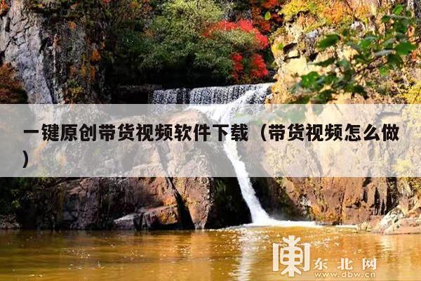 一键原创带货视频软件下载(带货视频怎么做)