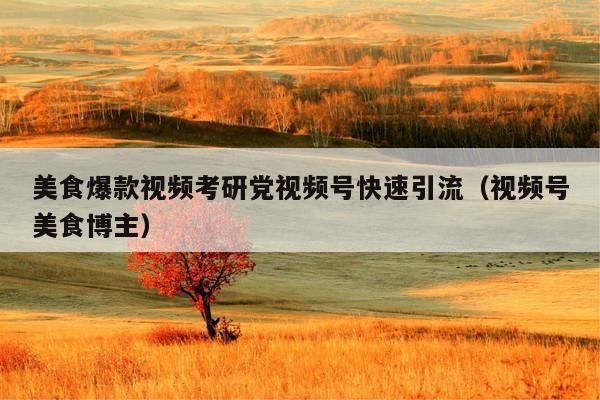 美食爆款视频考研党视频号快速引流(视频号美食博主)