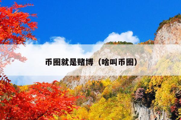 币圈就是赌博(啥叫币圈)