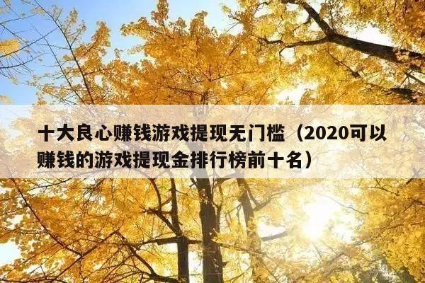十大良心赚钱游戏提现无门槛(2020可以赚钱的游戏提现金排行榜前十名)