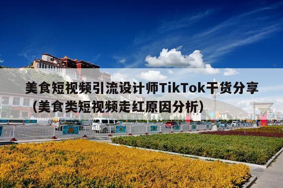 美食短视频引流设计师TikTok干货分享(美食类短视频走红原因分析)