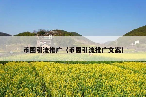 币圈引流推广(币圈引流推广文案)