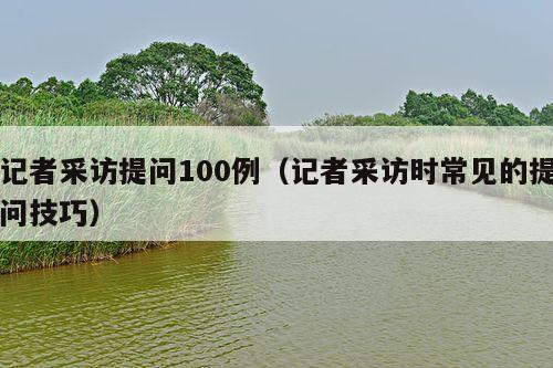 记者采访提问100例(记者采访时常见的提问技巧)