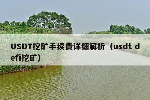 USDT挖矿手续费详细解析(usdt defi挖矿)