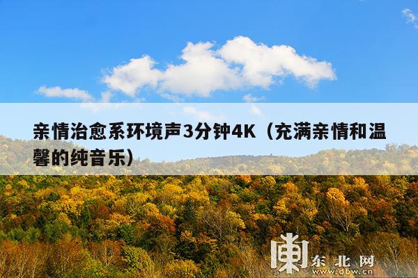 亲情治愈系环境声3分钟4K(充满亲情和温馨的纯音乐)