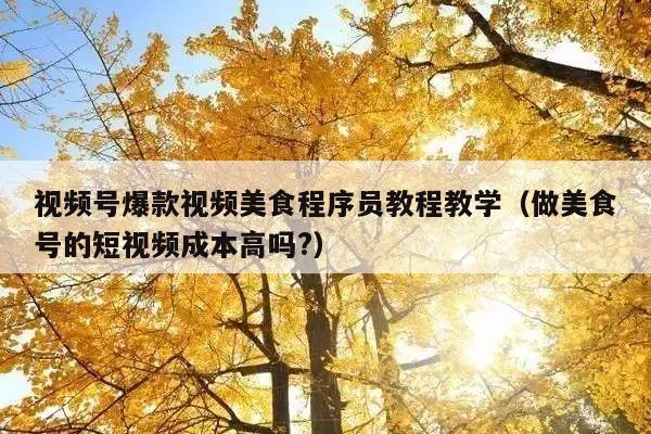 视频号爆款视频美食程序员教程教学(做美食号的短视频成本高吗?)