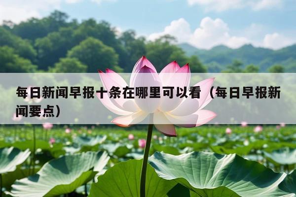 每日新闻早报十条在哪里可以看(每日早报新闻要点)