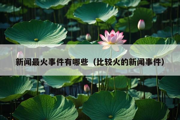 新闻最火事件有哪些(比较火的新闻事件)