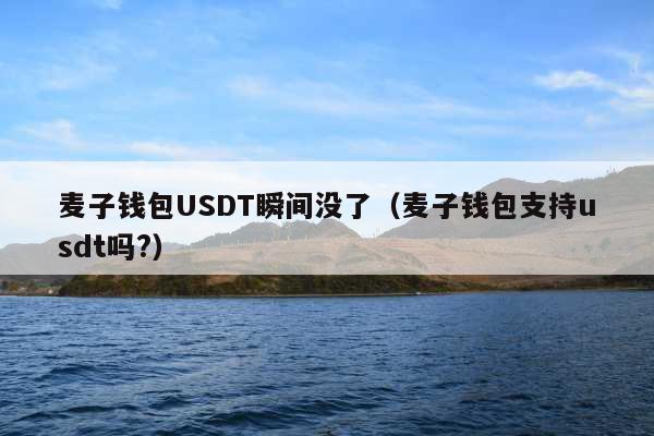 麦子钱包USDT瞬间没了(麦子钱包支持usdt吗?)