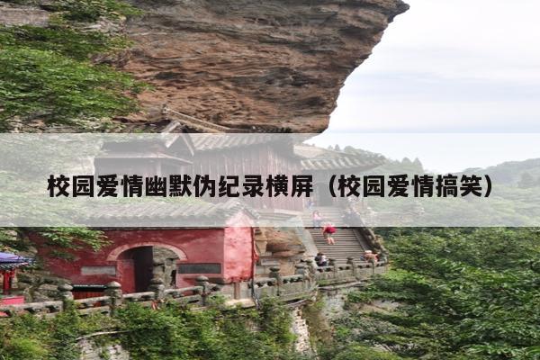 校园爱情幽默伪纪录横屏(校园爱情搞笑)