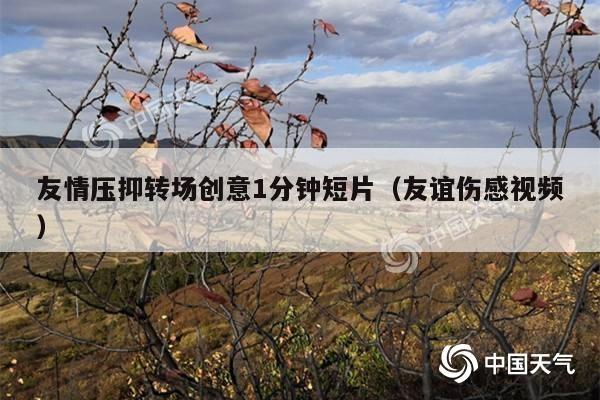 友情压抑转场创意1分钟短片(友谊伤感视频)