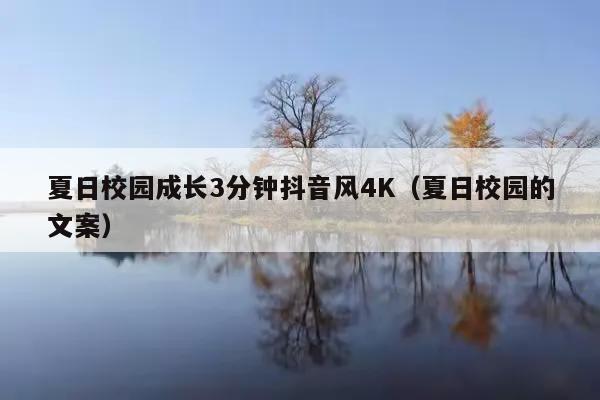 夏日校园成长3分钟抖音风4K(夏日校园的文案)