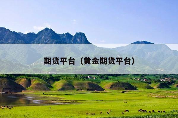 期货平台(黄金期货平台)
