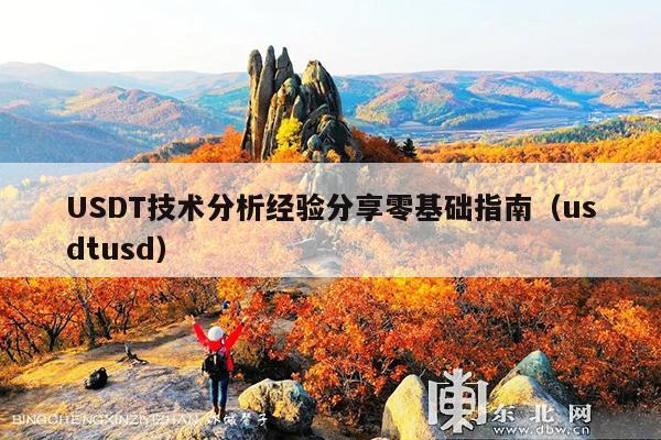 USDT技术分析经验分享零基础指南(usdtusd)