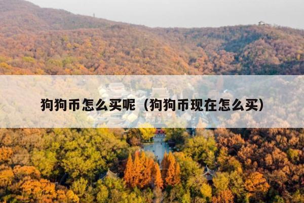 狗狗币怎么买呢(狗狗币现在怎么买)