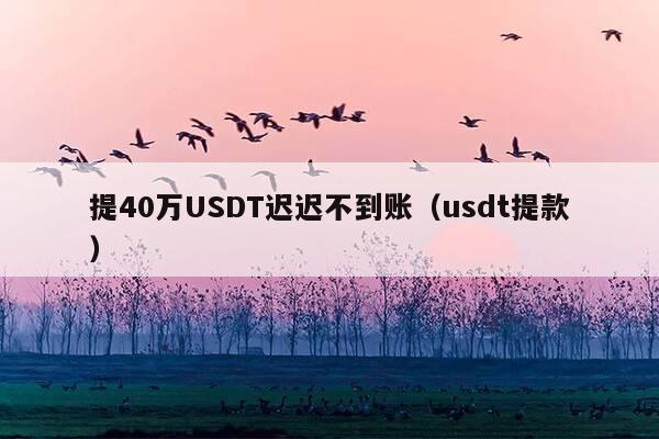 提40万USDT迟迟不到账(usdt提款)
